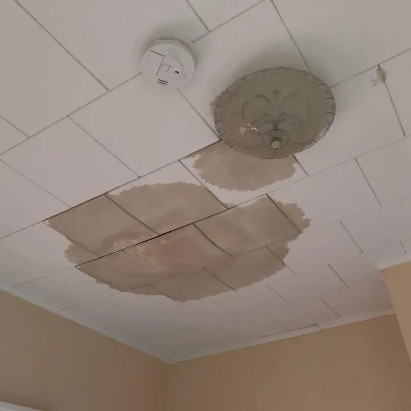 Ceiling Water Damage Repair in Pottsville, PA