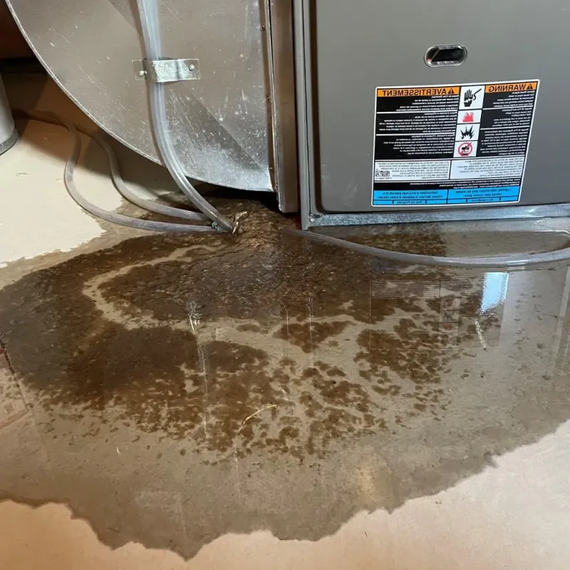 Pipe Burst and Leak Restoration in Pottsville, PA