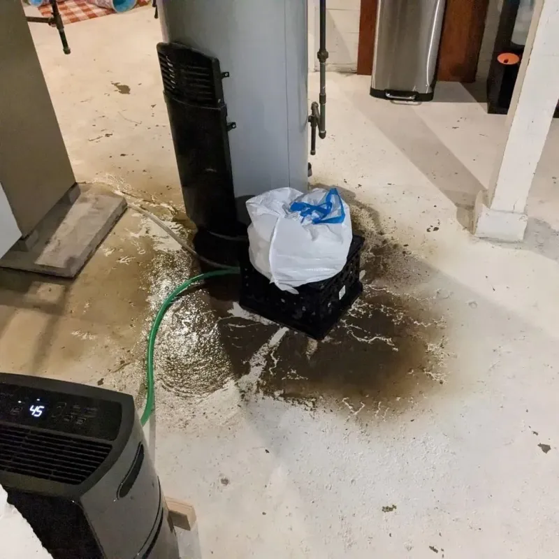 Sewage Backup Cleanup Service in Pottsville, PA
